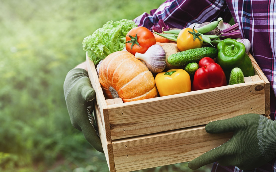 Favorite Fall Foods Double as Delicious and Dental-Friendly